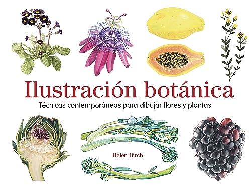 Ilustración Botánica: Técnicas Contemporáneas para Dibujar Flores y Plantas