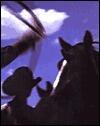 Cowpuncher: Cowboyin' in the Southwest