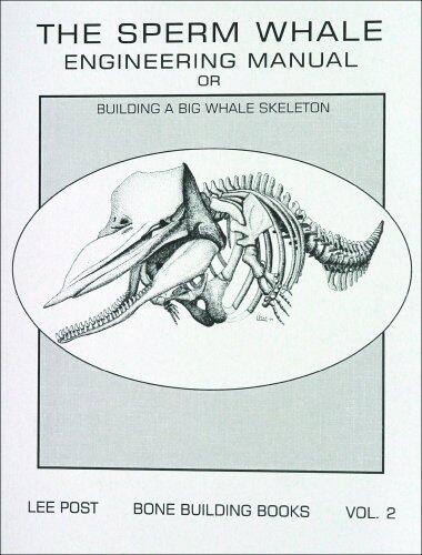The Sperm Whale Engineering Manual: Building a Big Whale Skeleton