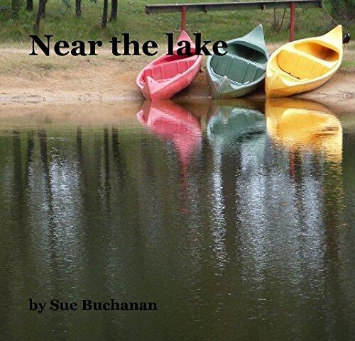 Near the lake