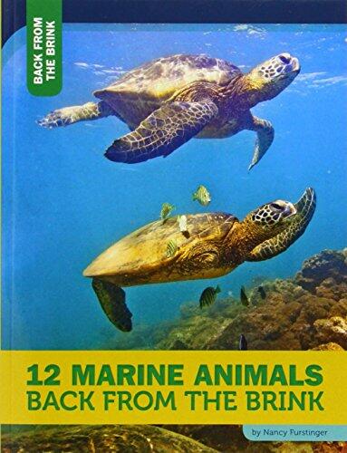 12 Marine Animals Back from the Brink