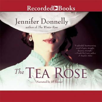 The Tea Rose