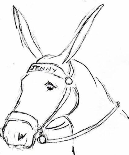 My Little Christmas Donkey