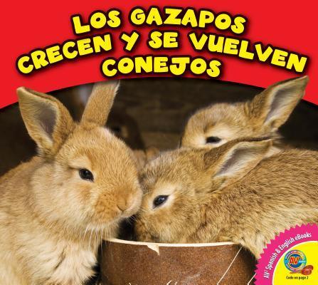 Los Gazapos Crecen y se Vuelven Conejos / Kits Grow up to be Rabbits