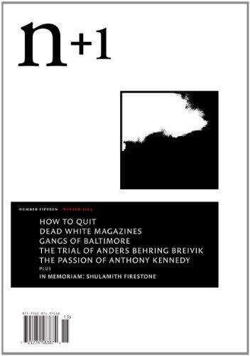 N+1 Issue 15: Amnesty