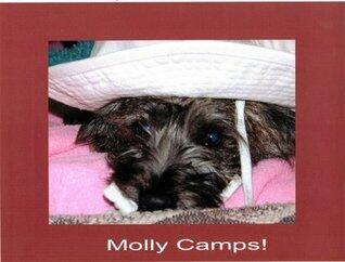 Molly Camps!