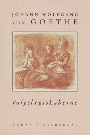 Valgslægtskaberne: En roman