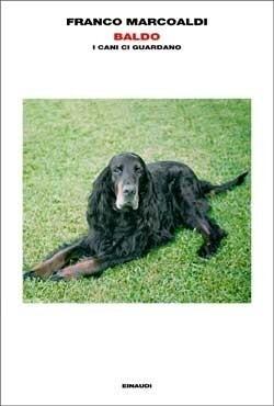 Baldo: I cani ci guardano