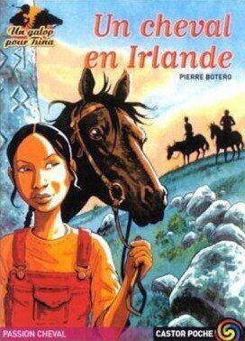 Un cheval en Irlande