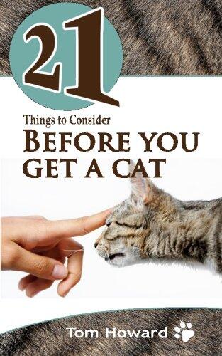 21 Things to Consider Before You Get a Cat