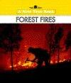Forest Fires