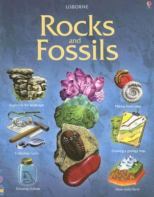 Rocks & Fossils