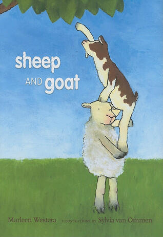 Sheep And Goat