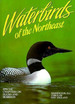 Waterbirds of the Northeast