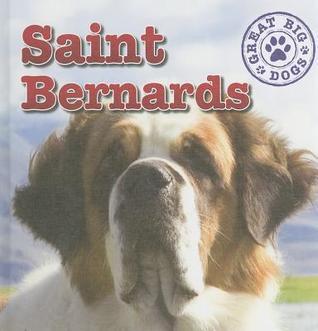 St. Bernards