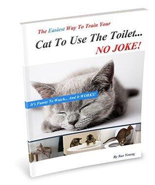 The Easiest Way To Train Your Cat How To Use The Toilet