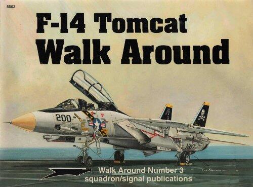 F-14 Tomcat Walk Around