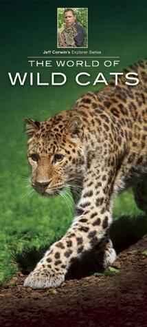 World of Wild Cats