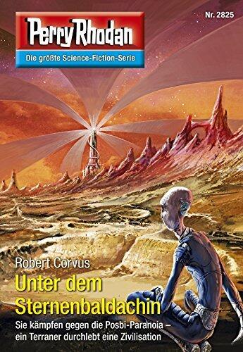 Perry Rhodan 2825: Unter dem Sternenbaldachin: Perry Rhodan-Zyklus "Die Jenzeitigen Lande" (Perry Rhodan-Erstauflage)