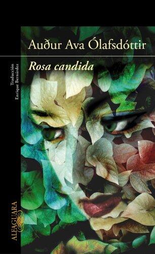 Rosa Candida
