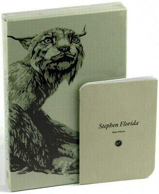 Stephen Florida: Indiespensable Edition