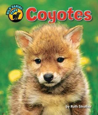Coyotes