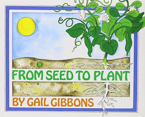 From Seed to Plant