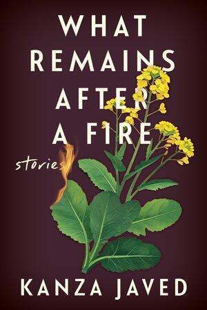 What Remains After a Fire: Stories