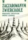 W zaczarowanym zwierciadle. Opowiadania fantastyczne Ameryki Łacińskiej