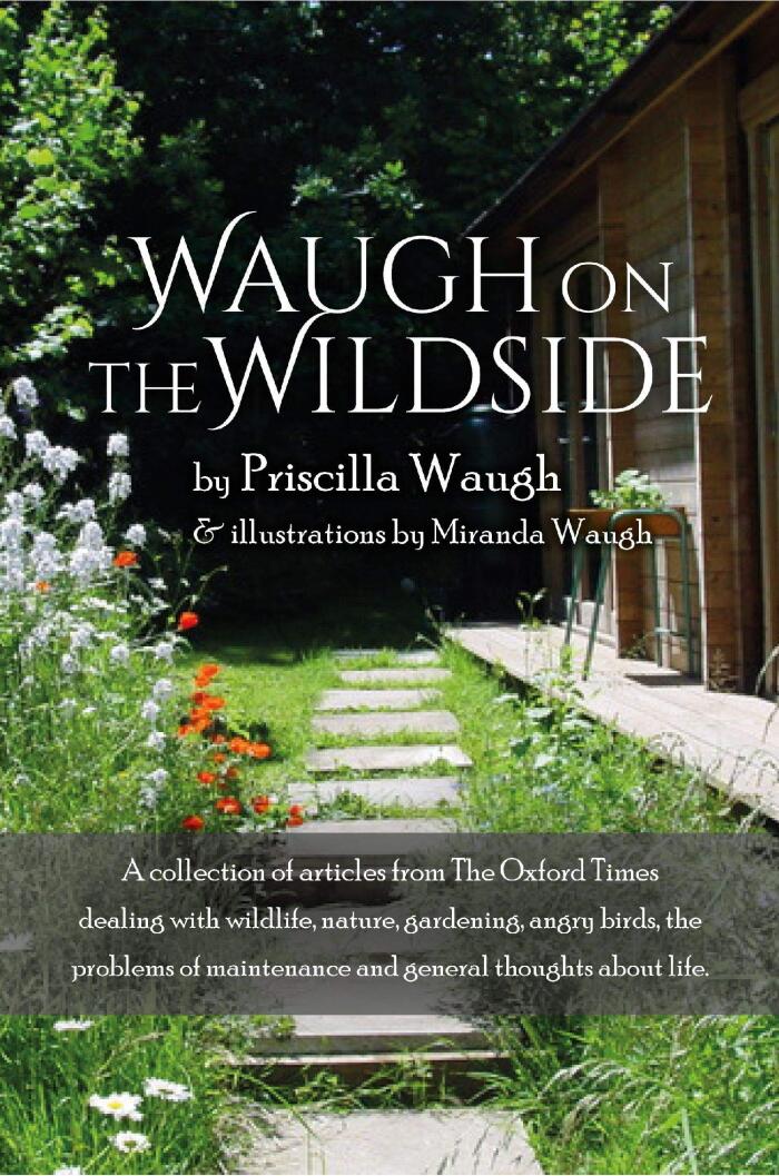 Waugh on the Wildside