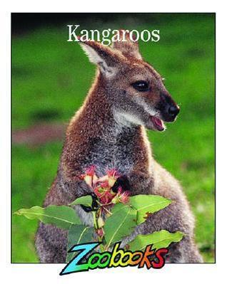 Kangaroos