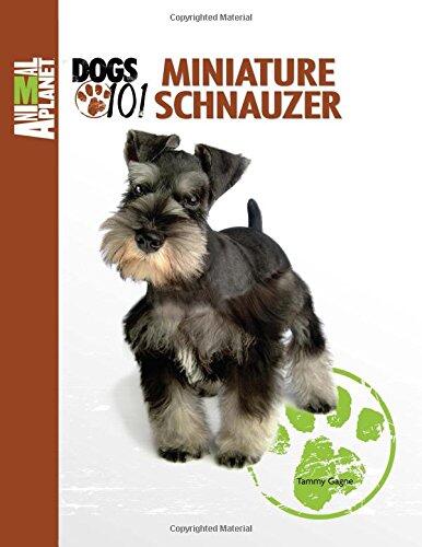 Miniature Schnauzer