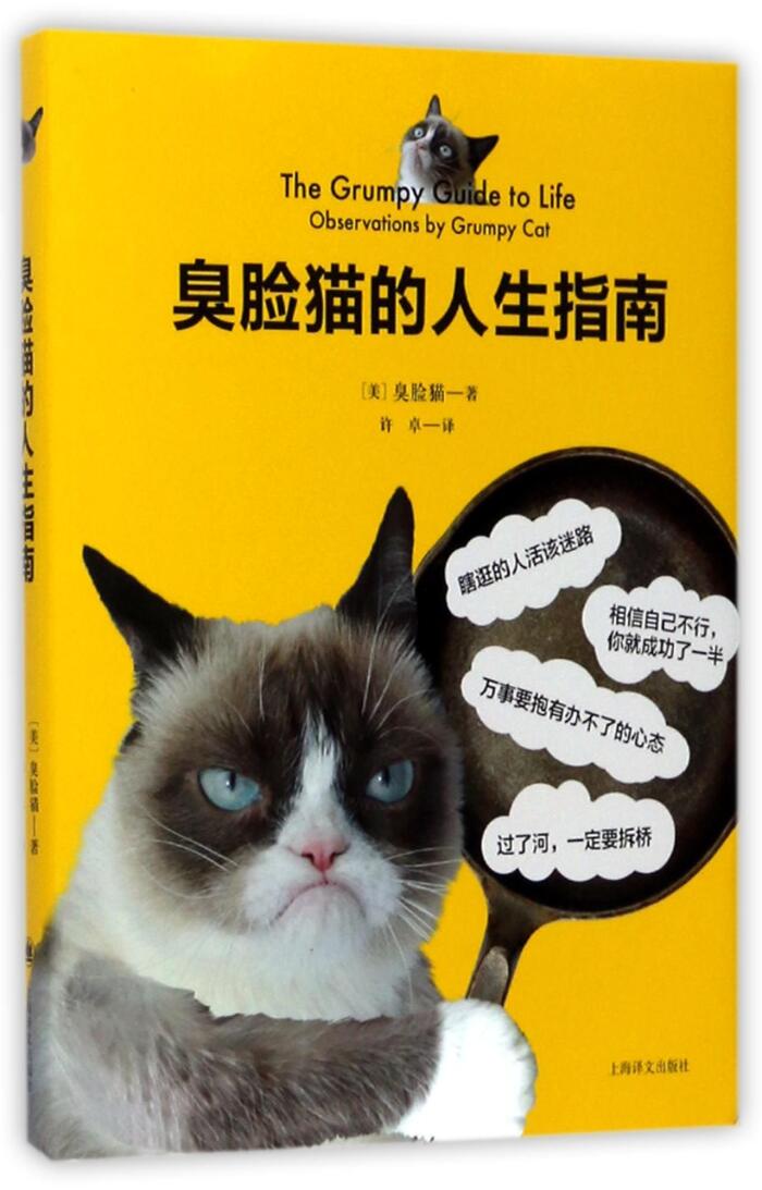 The grumpy guide to life:observations by grumpy cat