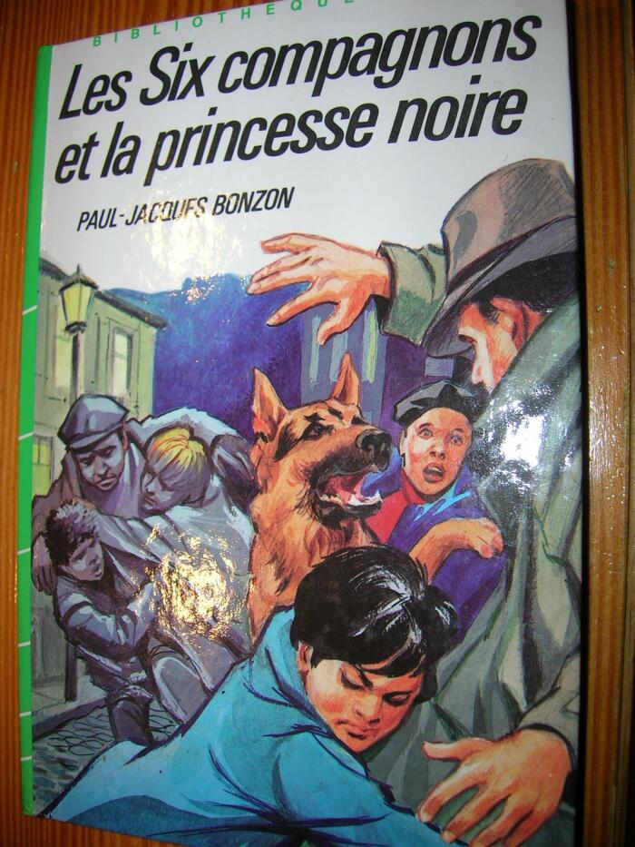 Les six compagnons et la princesse noire