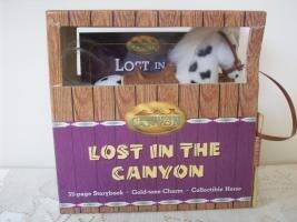Lost in the Canyon