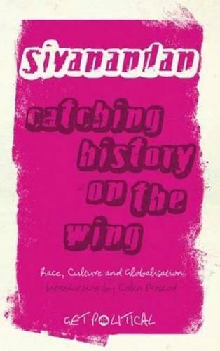 Catching History on the Wing: Race, Culture and Globalisation (Get Political)