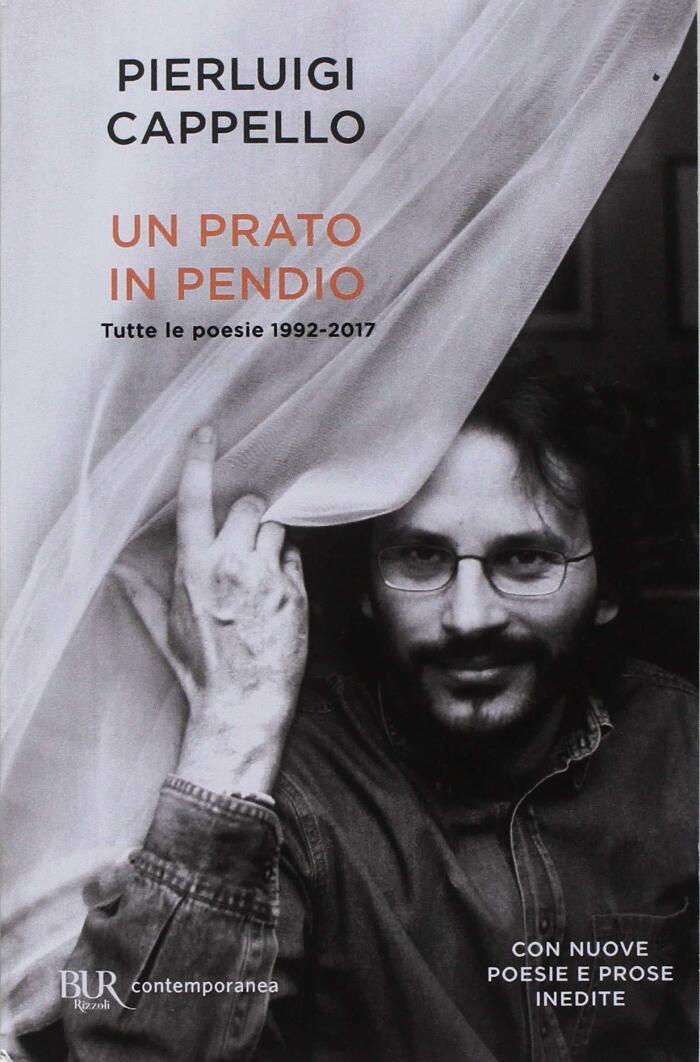 Un prato in pendio. Tutte le poesie 1992-2017