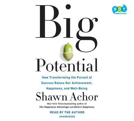 Big Potential: Five Strategies to Reach New Heights of Creativity, Productivity, Performance, and Success