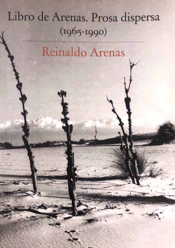 Libro de arenas. Prosa dispersa