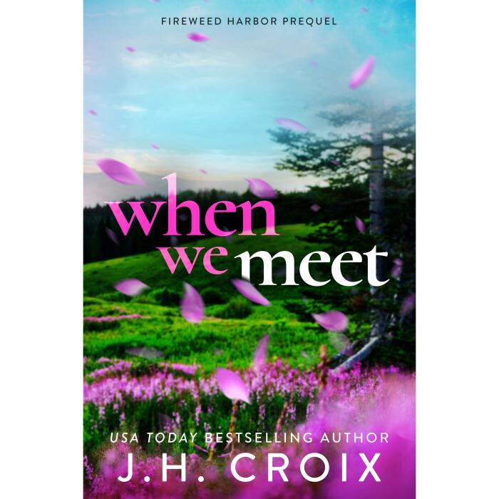When We Meet: A Fireweed Harbor Prequel