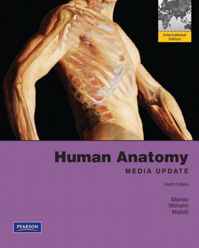 Human Anatomy: Media Update