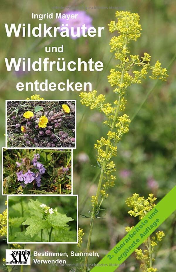 Wildkräuter und Wildfrüchte entdecken: 2. ergänzte und überarbeitete Auflage