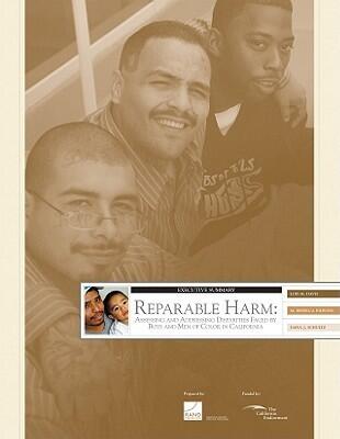 Reparable Harm: Assessing and Addressing Disparities Faced by Boys and Men of Color in California, Executive Summary