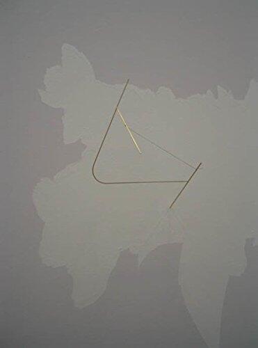 To What Extent Should an Artist Understand the Implications of His or Her Findings?: A Project