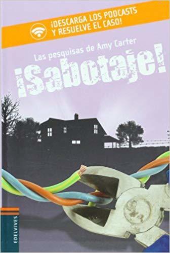 The Amy Carter Mysteries