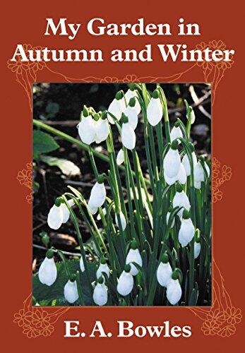 My Garden in Autumn and Winter