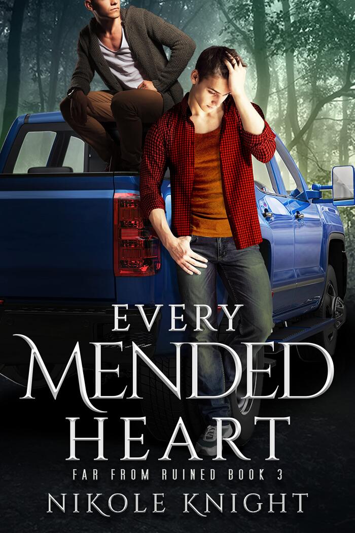 Every Mended Heart