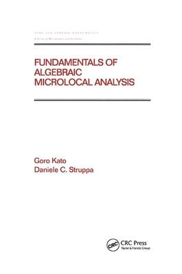 Fundamentals Of Algebraic Microlocal Analysis