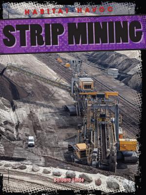 Strip Mining
