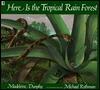 Here is the Tropical Rainforest